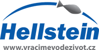hellstein logo