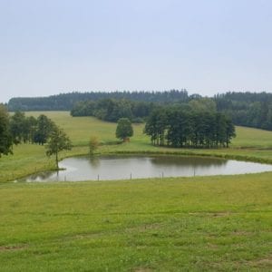V boji proti suchu vsadili na jižní Moravě na rybníky