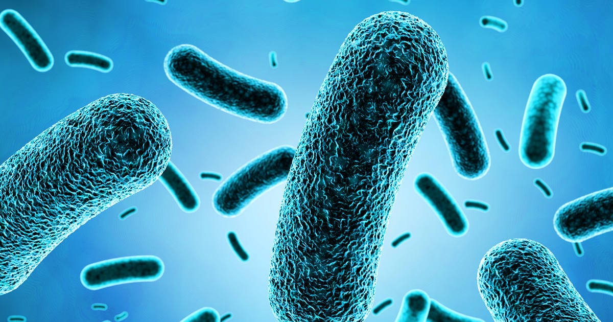 Bakterie Legionella
