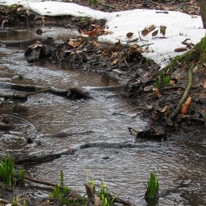 Na Moravě klesají průtoky v řekách, sněhu je málo