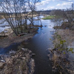 Voda z Nových Mlýnů pomůže lužním lesům na jižní Moravě