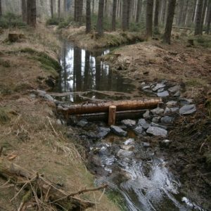 Na Žďársku zadržují vodu dřevěné prahy