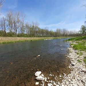 Průtoky v řekách se pohybují v širokém rozmezí 20 až 130 % normálu