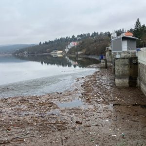 Po rozmrznutí hladiny pokračuje těžba spláví na Brněnské přehradě